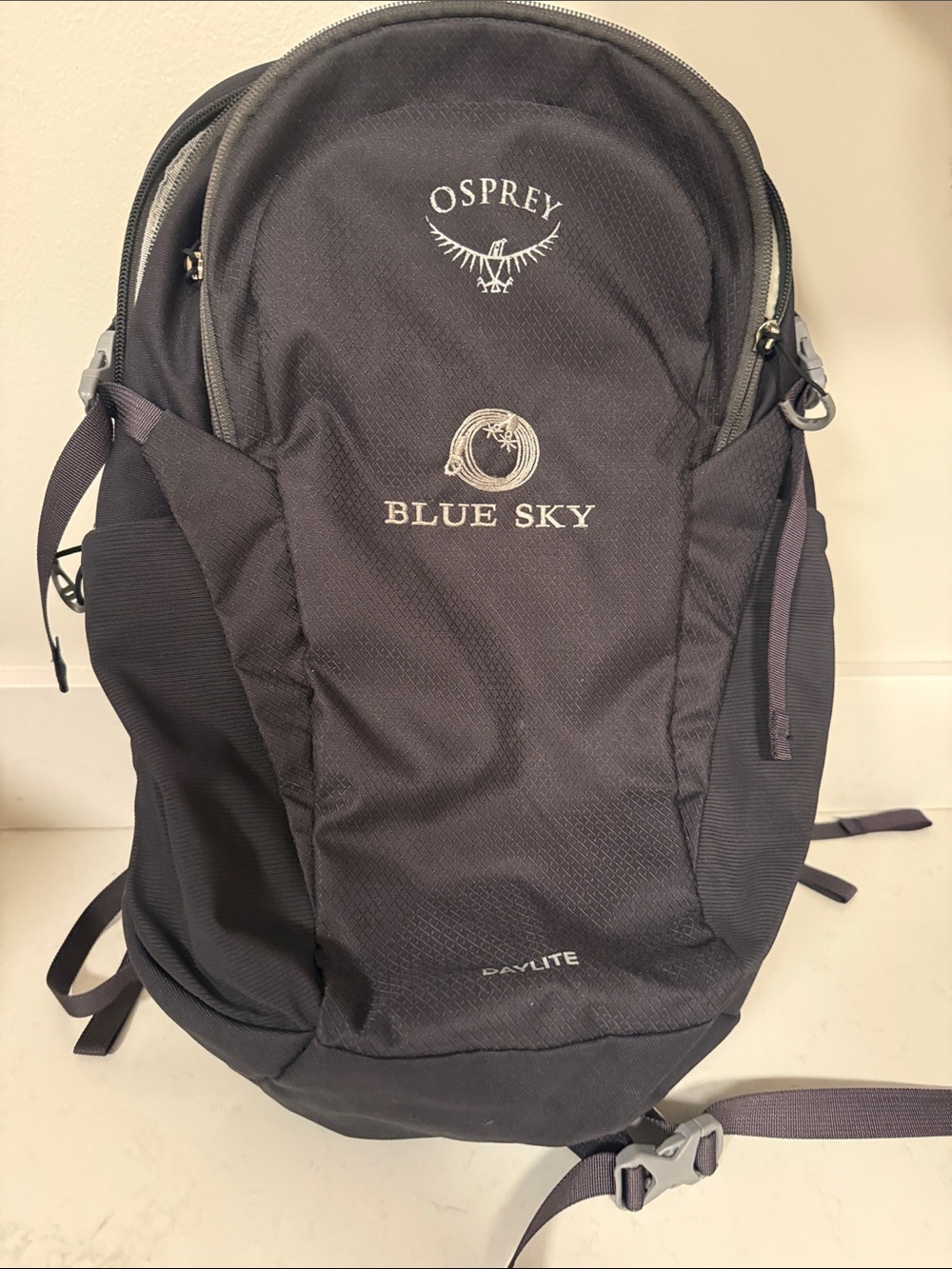 OSPREY Blue Sky Backpack in Grey